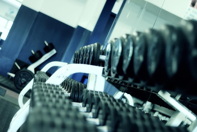 Planlægning af træningsapp i fitnesscentret